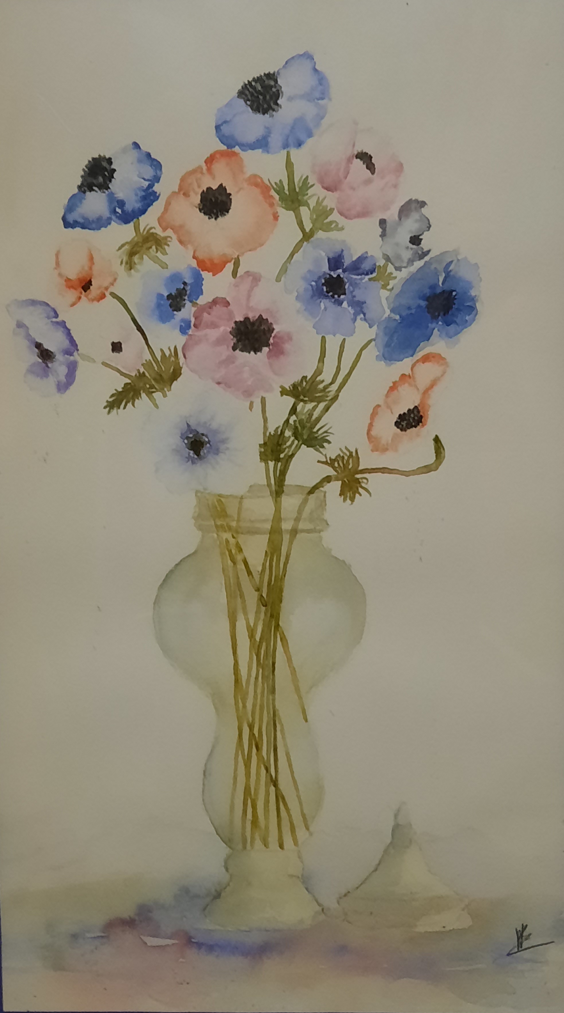anemones